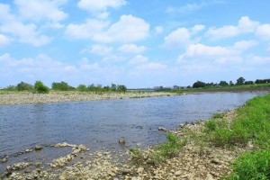 初七日に込めた願い |故人が緩流を渡れますように