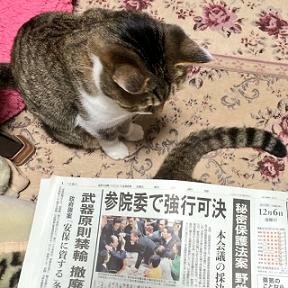 生前整理新聞記事